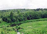 33 Radonej 01-06-24